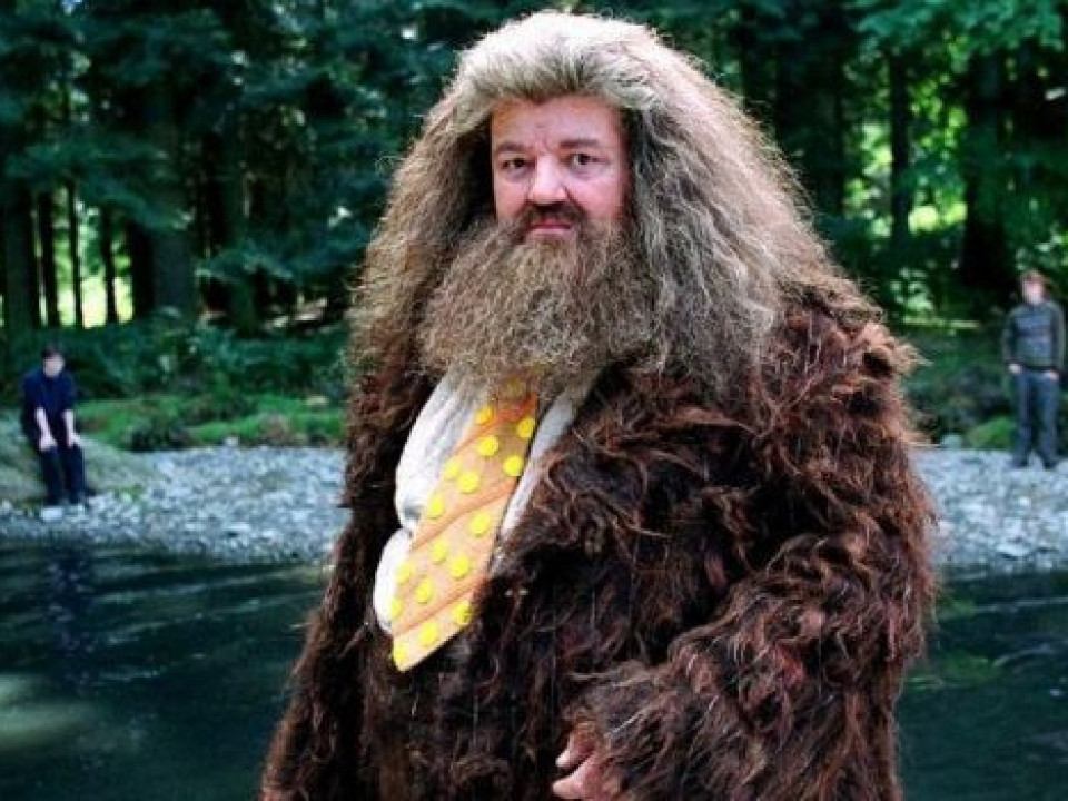 Ce s-a întâmplat cu Hagrid din „Harry Potter”? Actorul a ajuns acum într-un scaun cu rotile!
