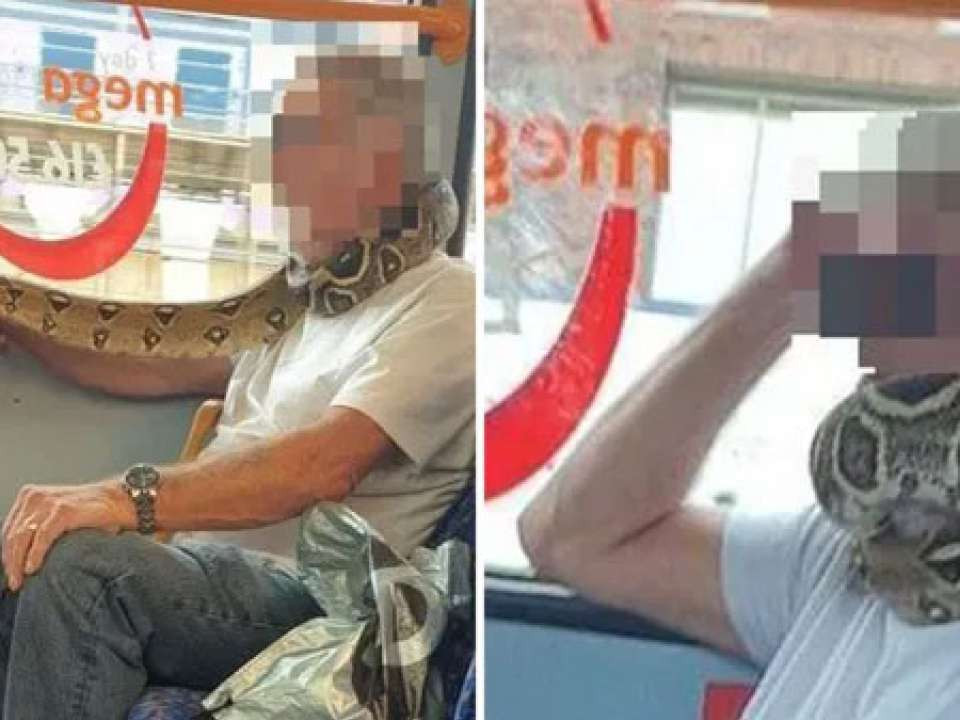 FOTO | Un bărbat a folosit un șarpe în locul unei măști de protecție, într-un autobuz