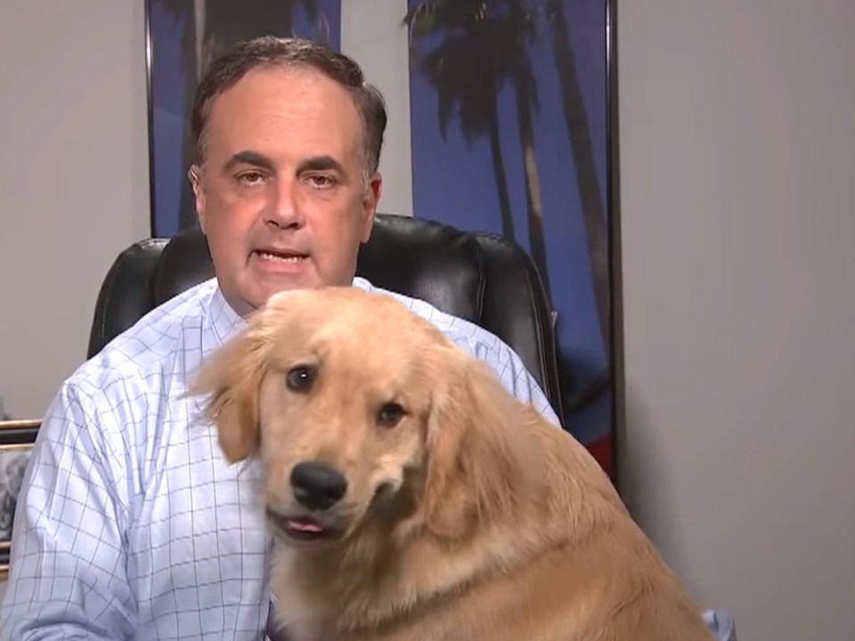VIRAL | Un prezentator de știri meteo a fost întrerupt  de câinele său în timpul unei transmisiuni în direct