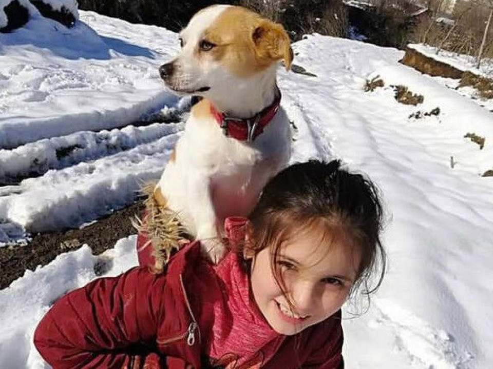 O fetiță de 9 ani și-a cărat câinele în spate doi kilometri, prin zăpadă, pentru a-l duce la veterinar