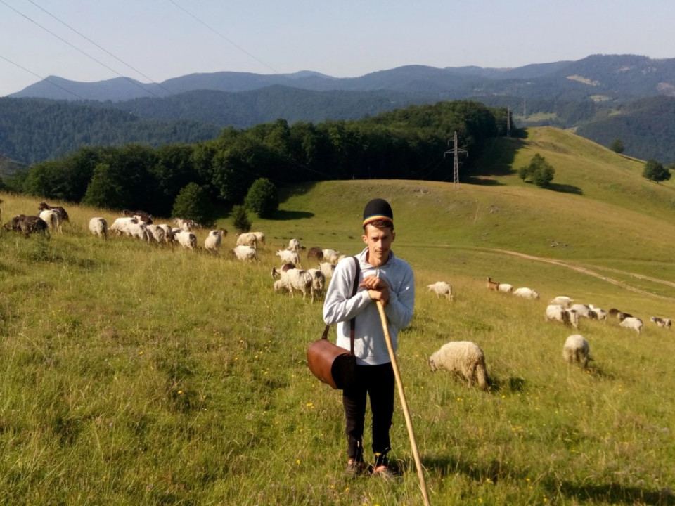 10 întrebări pe care ai vrut mereu să i le pui unui cioban din România