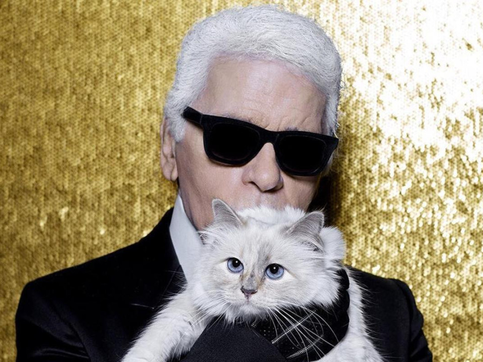 Un an de la moartea lui Karl Lagerfeld. Ce mai face Choupette, pisica regretatului designer?