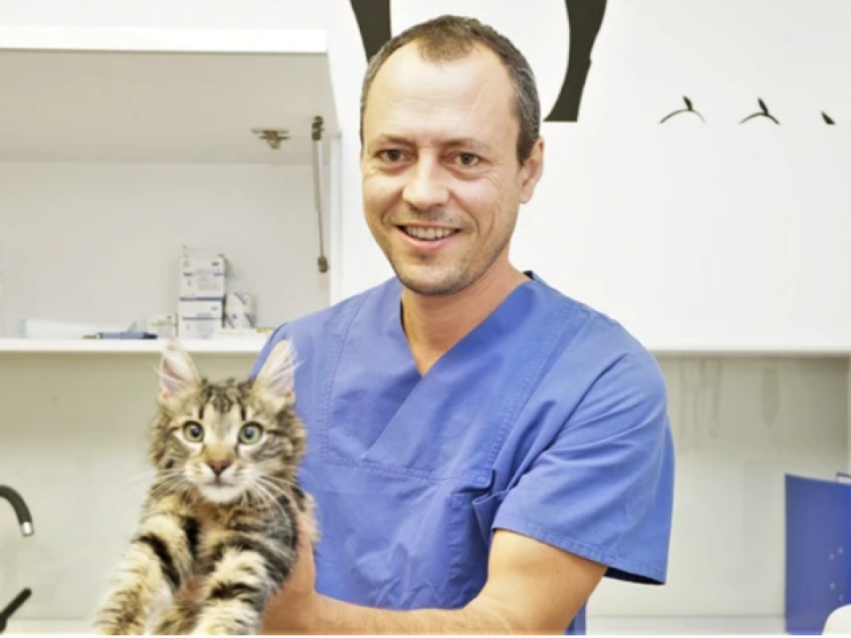10 întrebări pe care ai vrut să i le pui unui medic veterinar din România