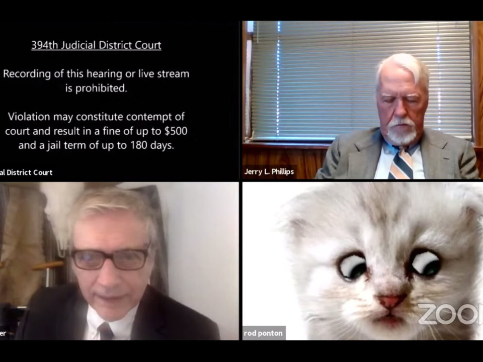 So funny! Un avocat s-a trezit „transformat” în pisică, în timpul unei audieri online pe Zoom