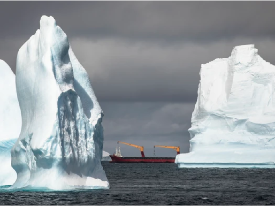 Metoda coruptă prin care pescarii distrug Oceanul Antarctic