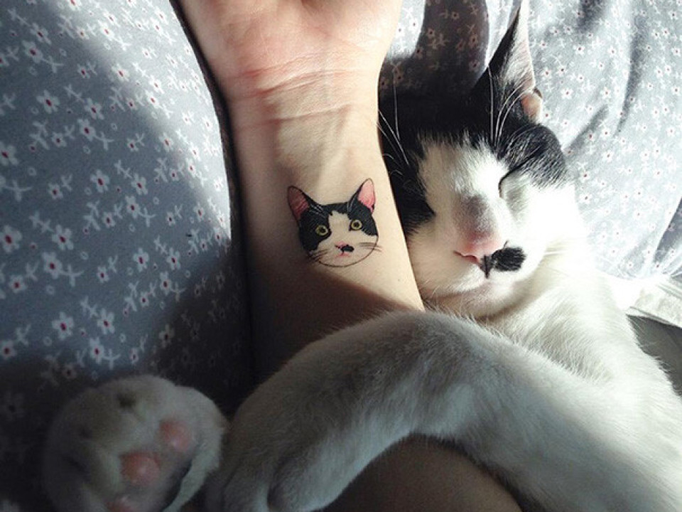 Cele mai cool tatuaje cu pisici