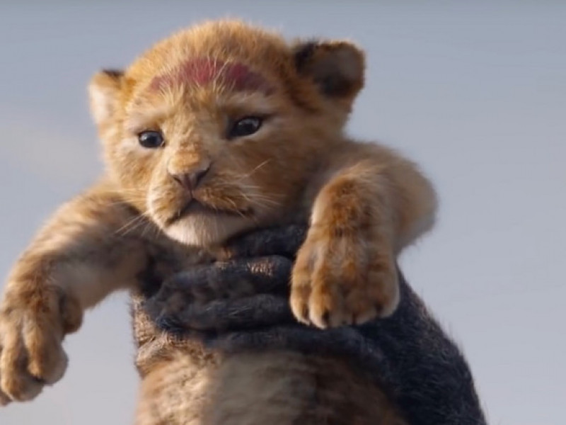 VIDEO | Primele imagini din filmul „ The Lion King”. Urmărește acum primul trailer!