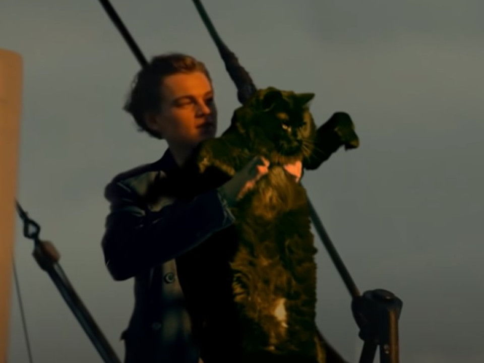 OwlKitty - pisica care face zeci de milioane de vizualizări înlocuind actori din filme celebre, de la Titanic la Home Alone