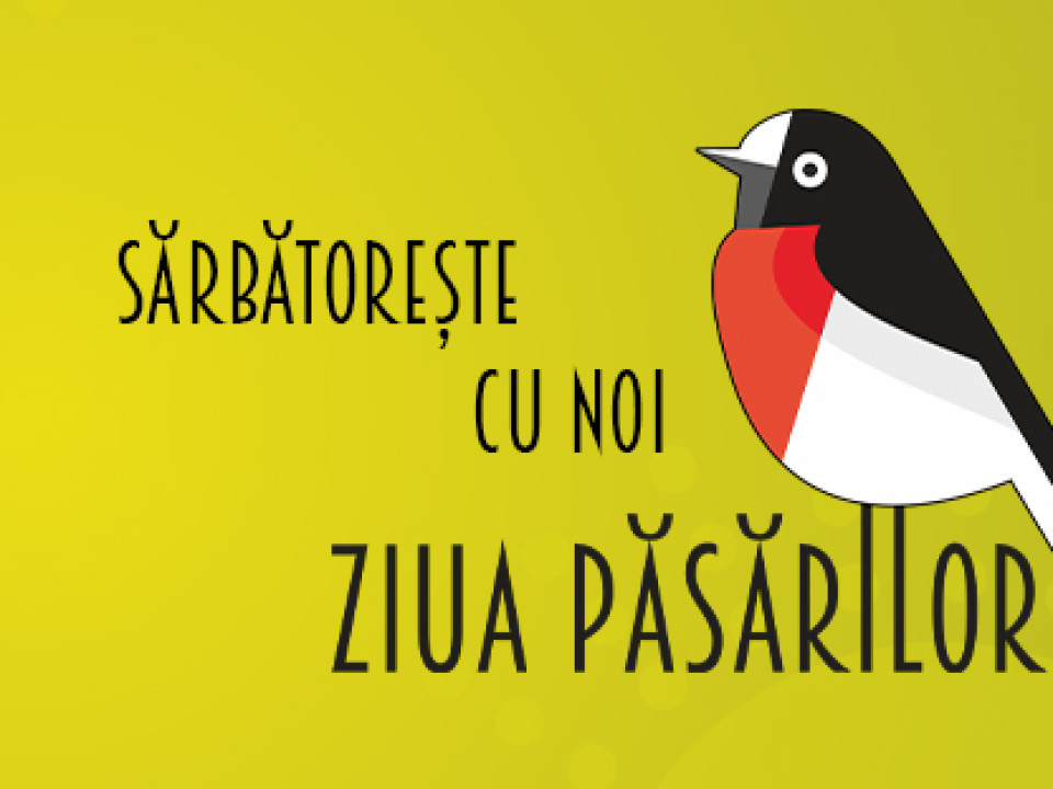 O inițiativă inedită în care te poți implica activ: Societatea Ornitologică Română şi Universal Music lansează albumul „Sunetele Naturii. Sunetele Vieţii Tale”