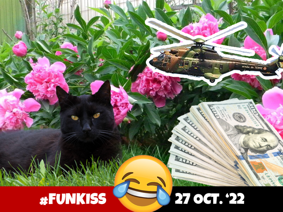 Funkiss 27 octombrie | Pisica neagră zgârie brânză