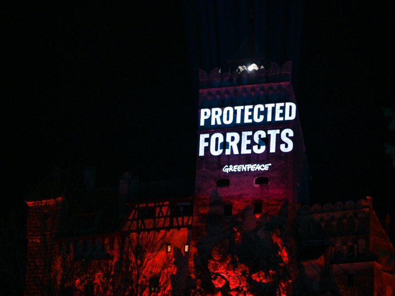 Protest la „petrecerea lui Elon Musk de la Bran” - pe castel au fost proiectate mesaje pentru salvarea pădurilor