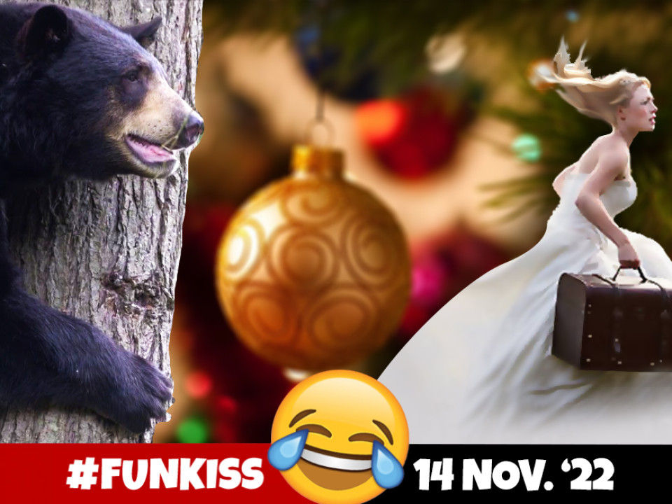 Funkiss 14 noiembrie |  Ursul din copac și rusul din retragere