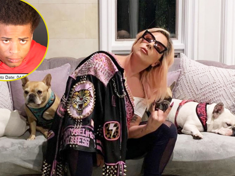 Bărbatul care i-a răpit câinii lui Lady Gaga a fost condamnat la 21 de ani de închisoare