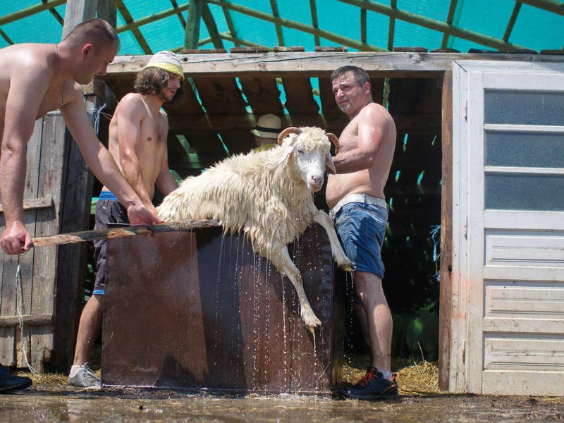 Fotografii care-ți arată viața de cioban în România așa cum n-ai mai văzut-o