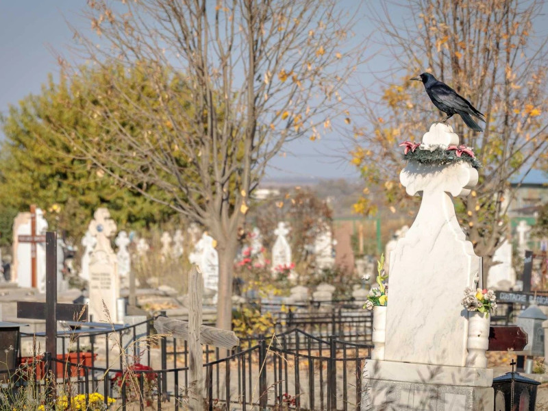 Lumea fascinantă a cimitirelor private din România, unde plătești taxă de protecție și după moarte