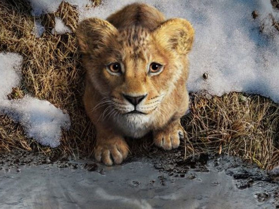 A apărut primul trailer la „Mufasa: The Lion King”
